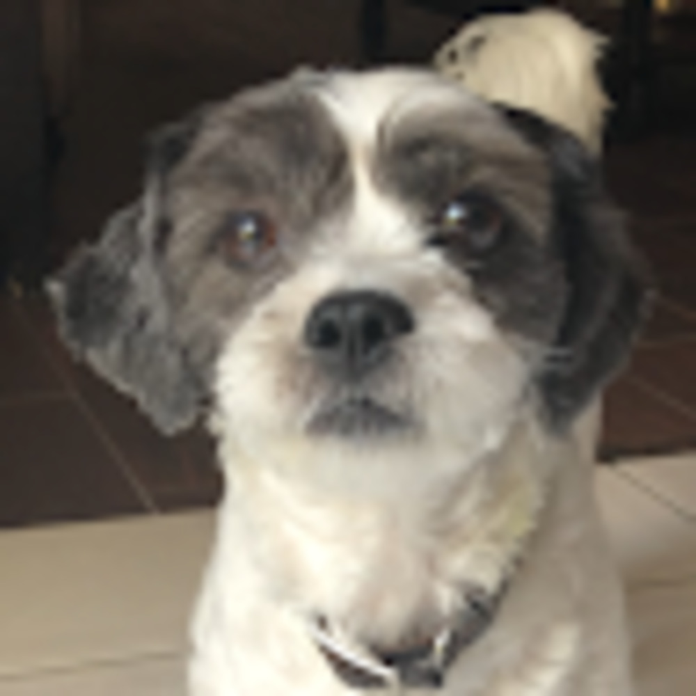 Meet your Posher, Natalia